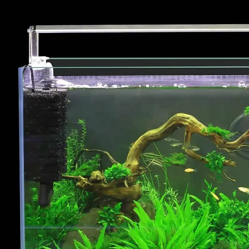 Filtre d'alimentation électriq - Aquarium Planted Filter avis et prix