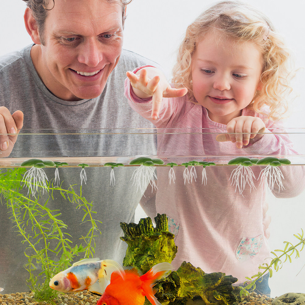Lot de 6 mini-plantes artifici - Aquarium Plant Roots avis et prix