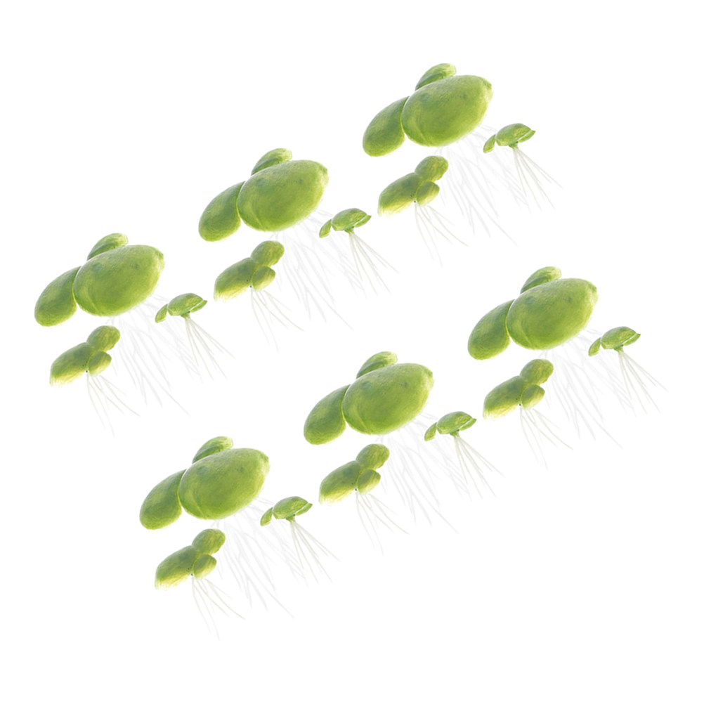 18 pièces de plantes aquatique - Planted Aquarium Mini avis et prix